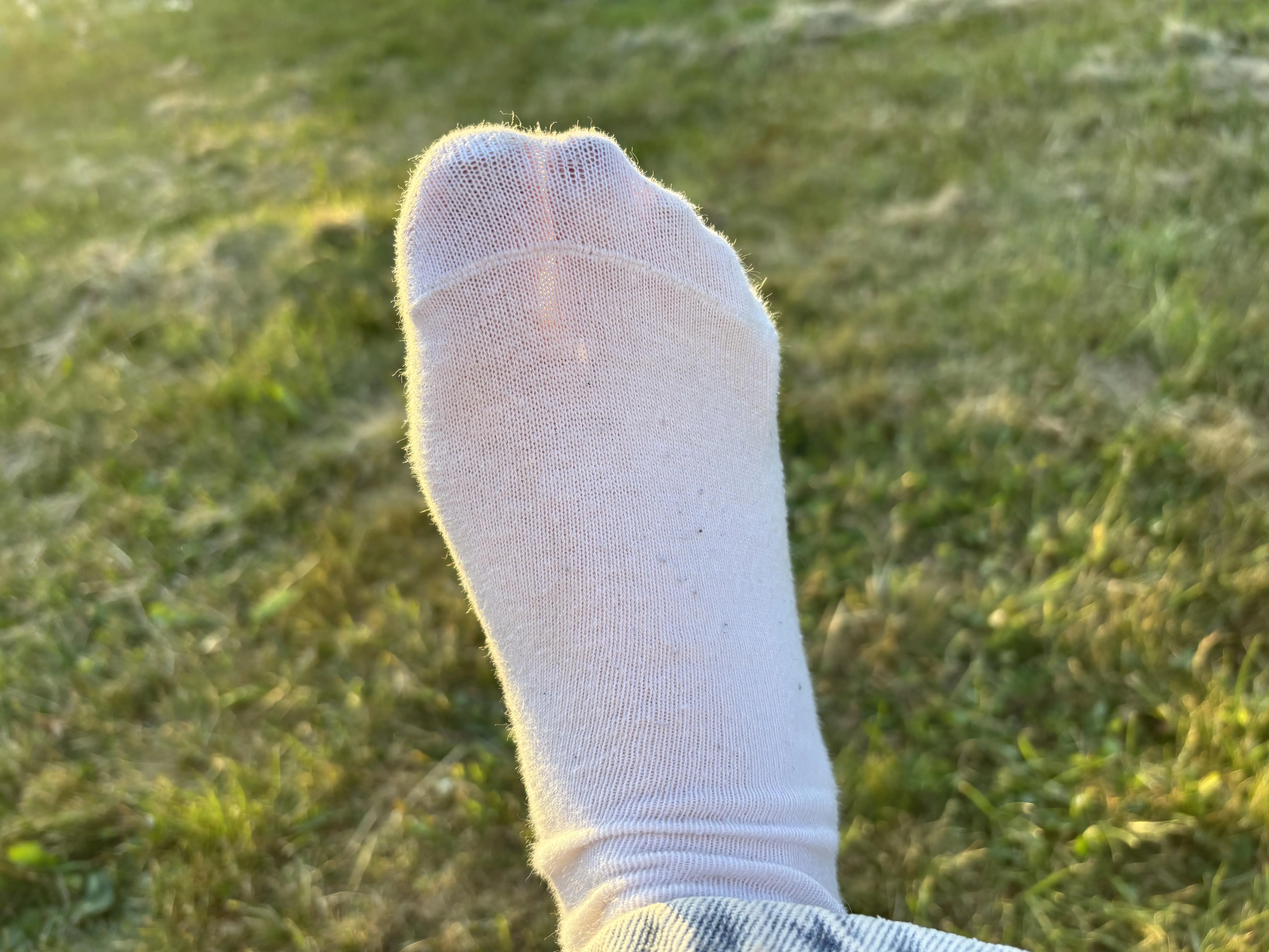 Soft white socks soaking up the last golden light of the day… worn, warm & waiting for attention ✨🧦☀️