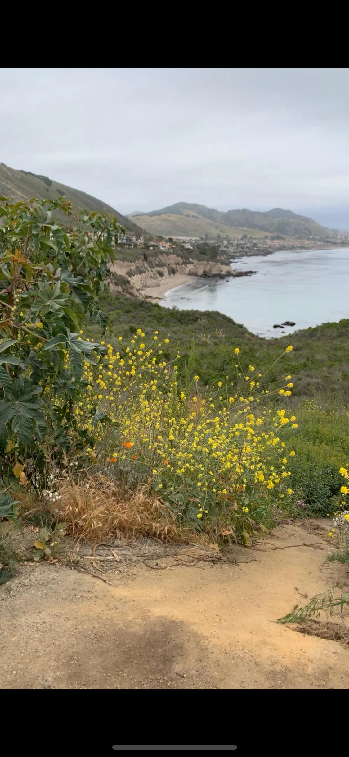 The tides are Down which is good!!