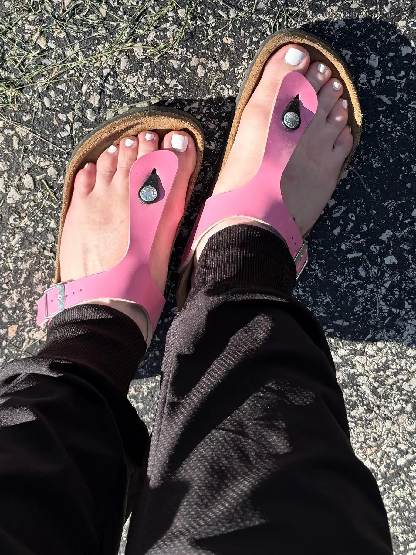 Wife texted me a quick snap