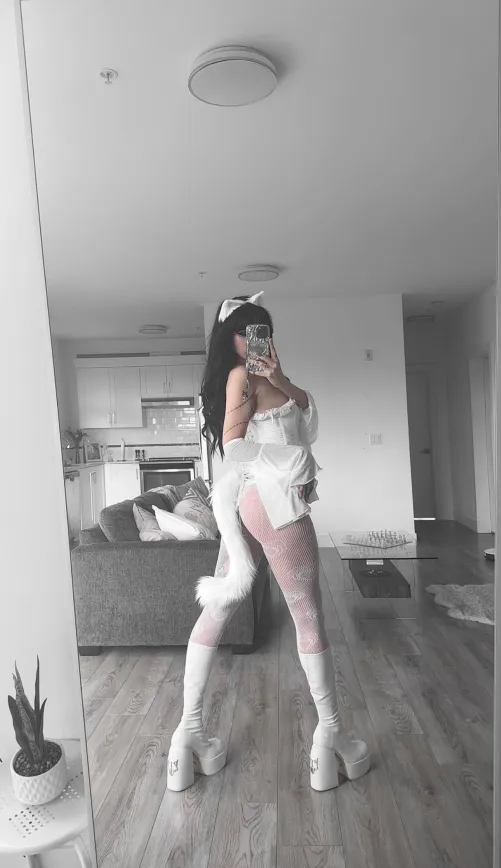 Guess where the tail is coming from