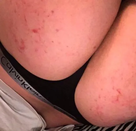 not nearly enough, desperately need more ︵‿₊୨୧₊‿︵