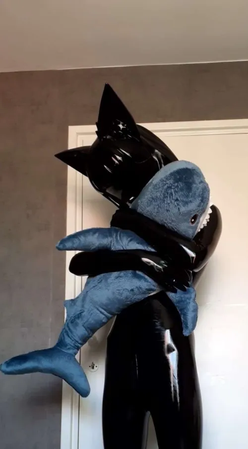 Turns out, cats and shorks get along :3