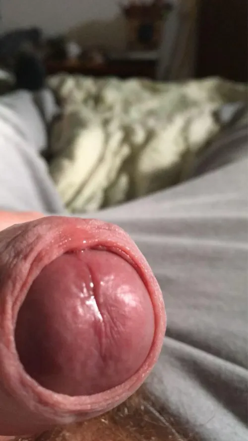 45M foreskin play what would you do to mine