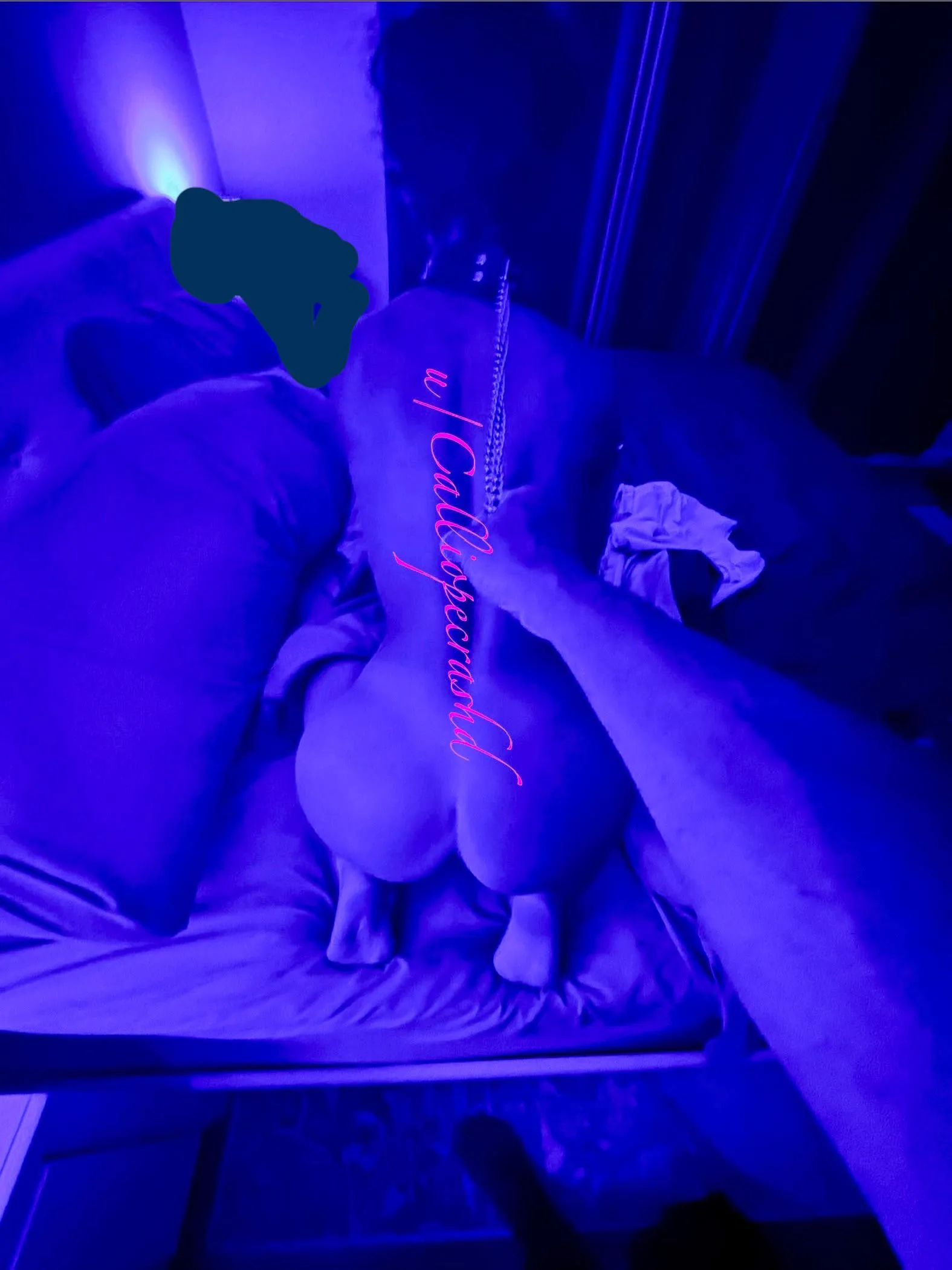 [49/38] [MF4MF/F/M] [Central NJ]