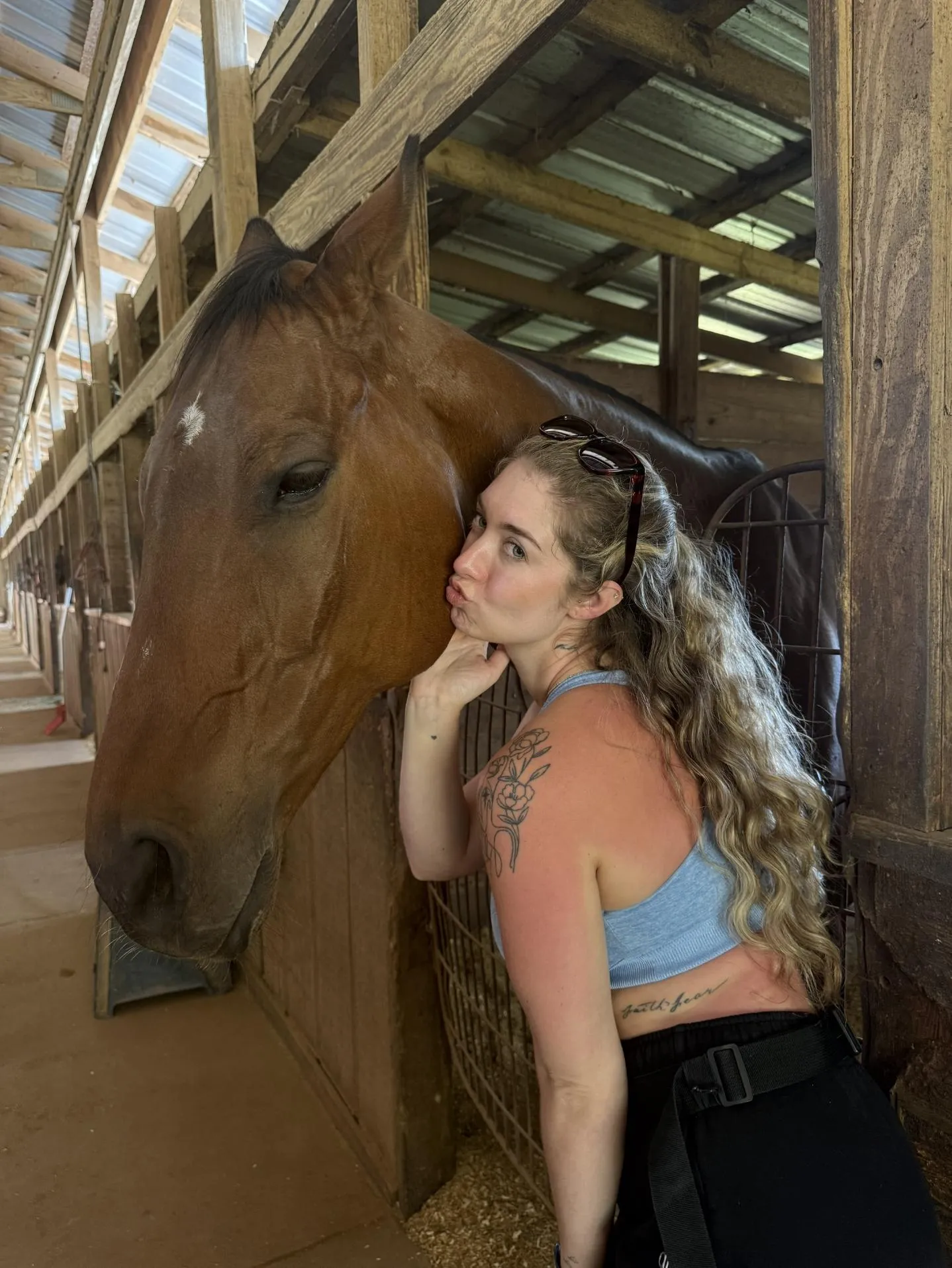 A rare sighting, a horse and unicorn 😜🐴🦄😻