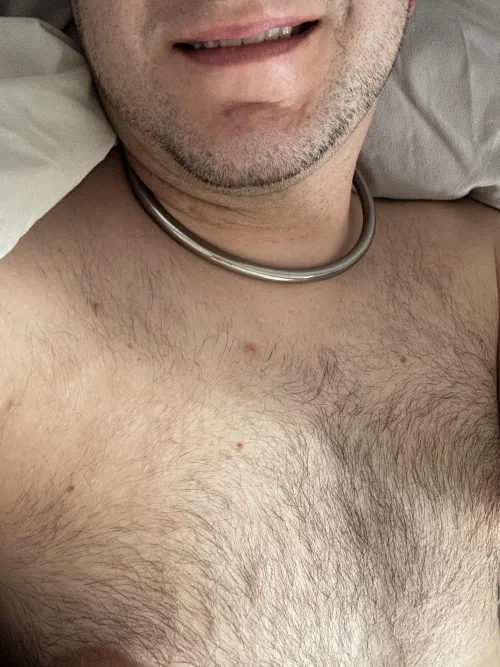 Collared owned sub in bed
