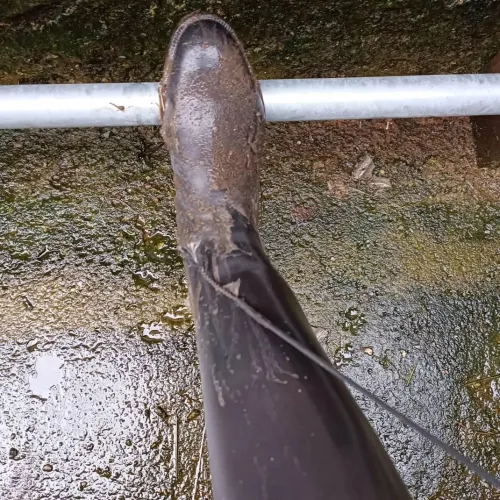 Come here and clean it