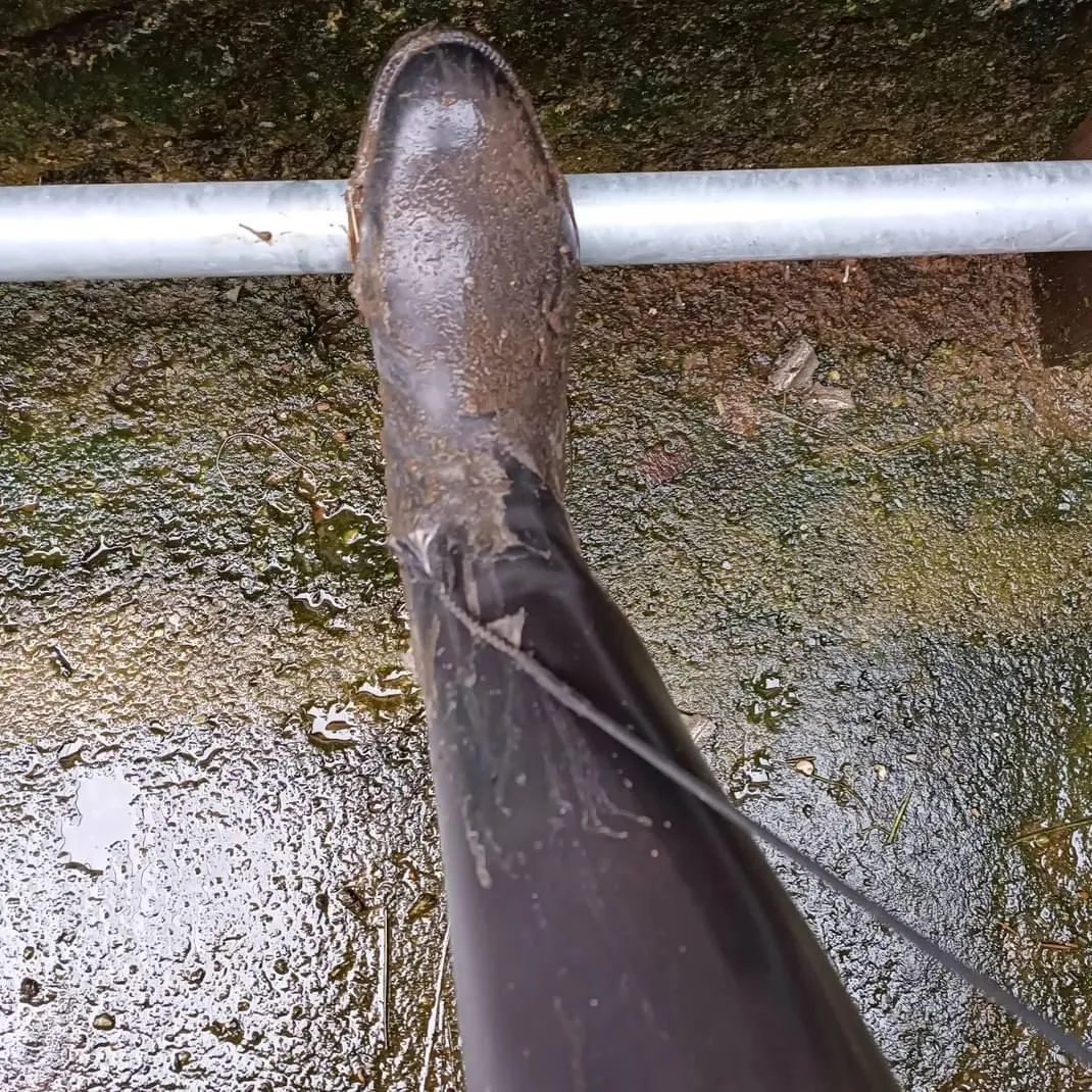 Come here and clean it