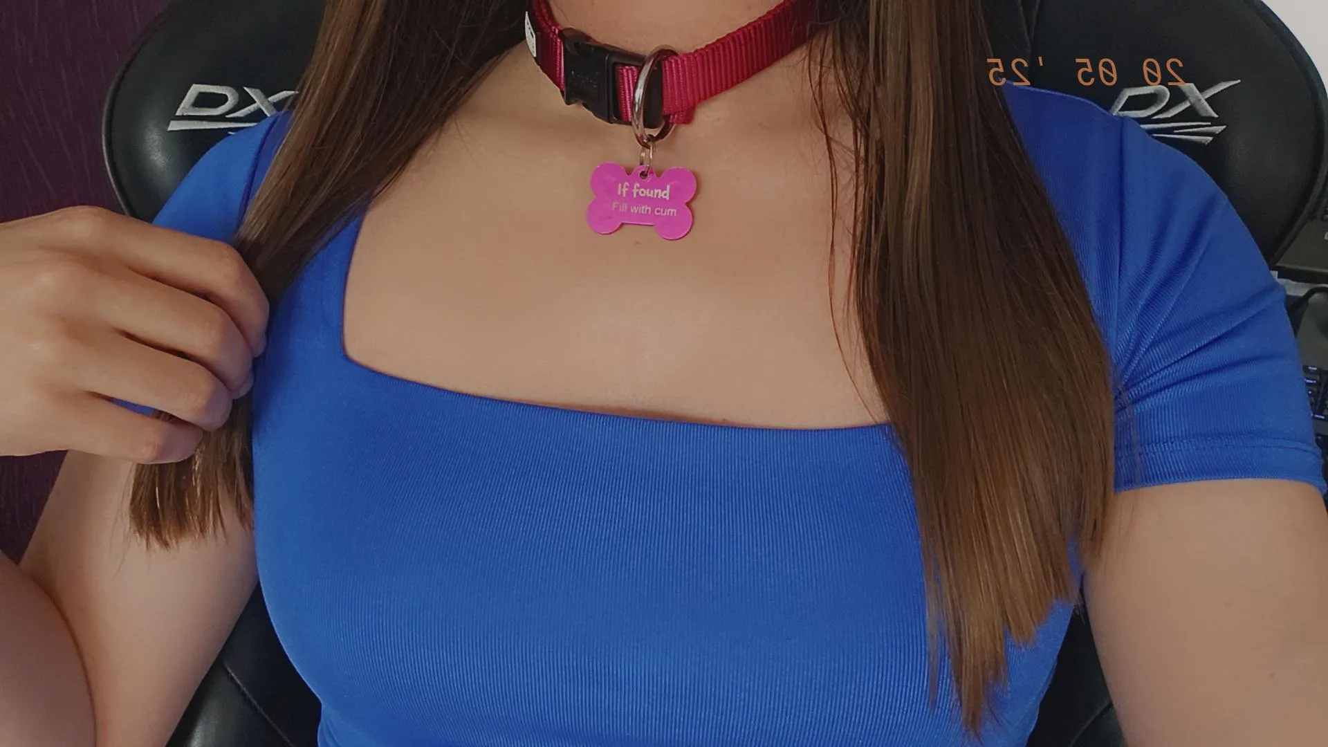 Do you like petcollars ?