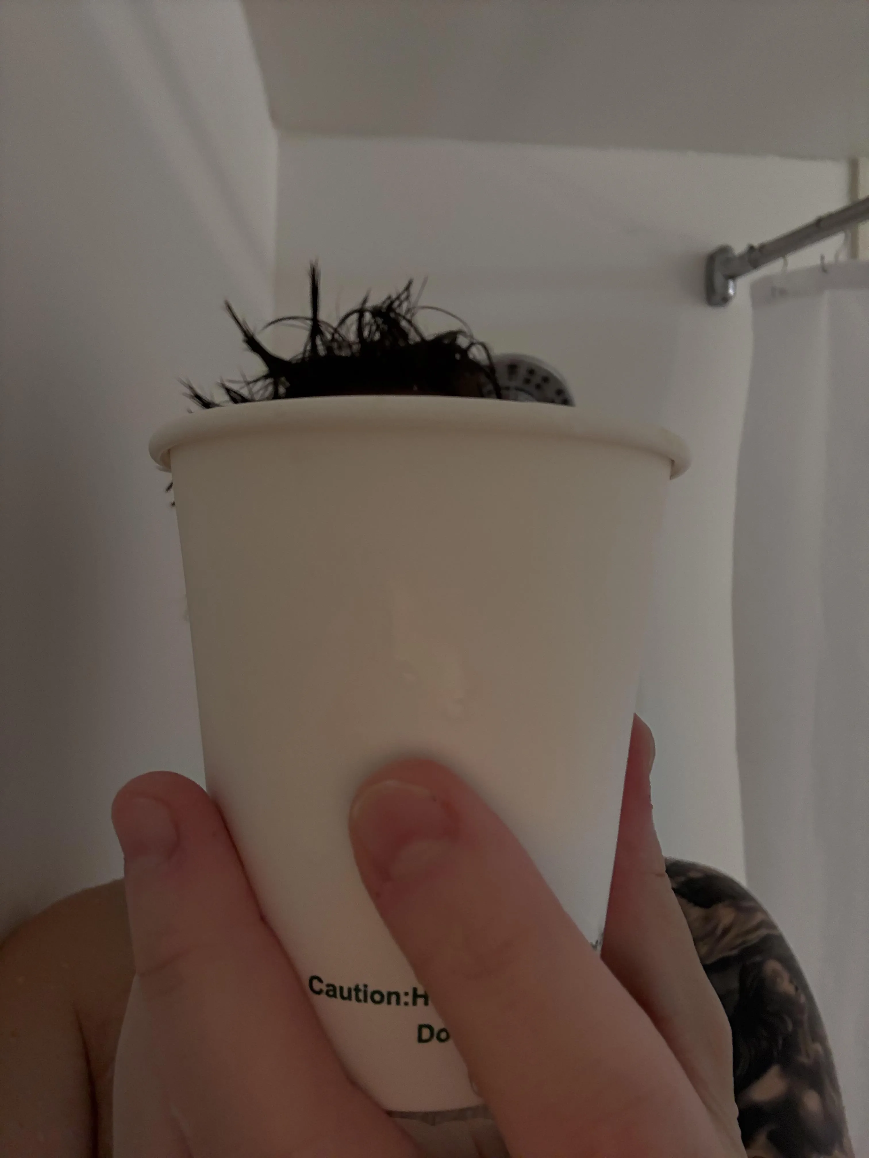 Early morning hotel coffee. Who knew island time was 5am?