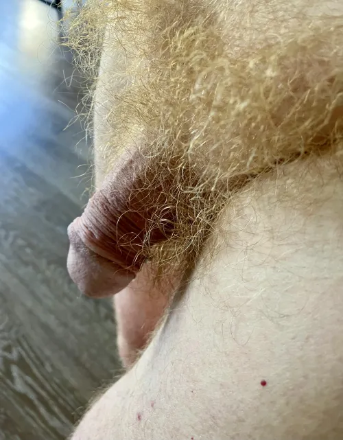 Ginger too messy?