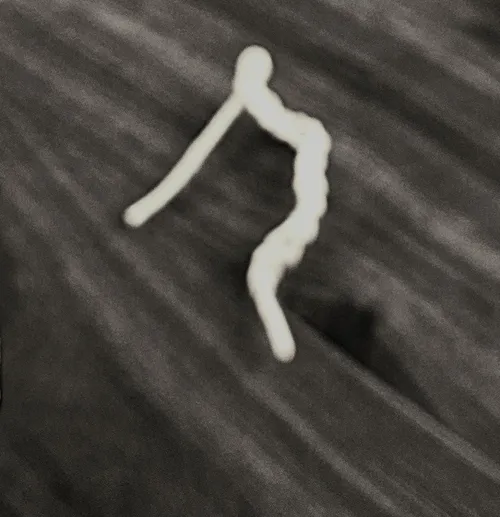 I've been crotch eating for 5 damn days why can't i get this line right?!?!!