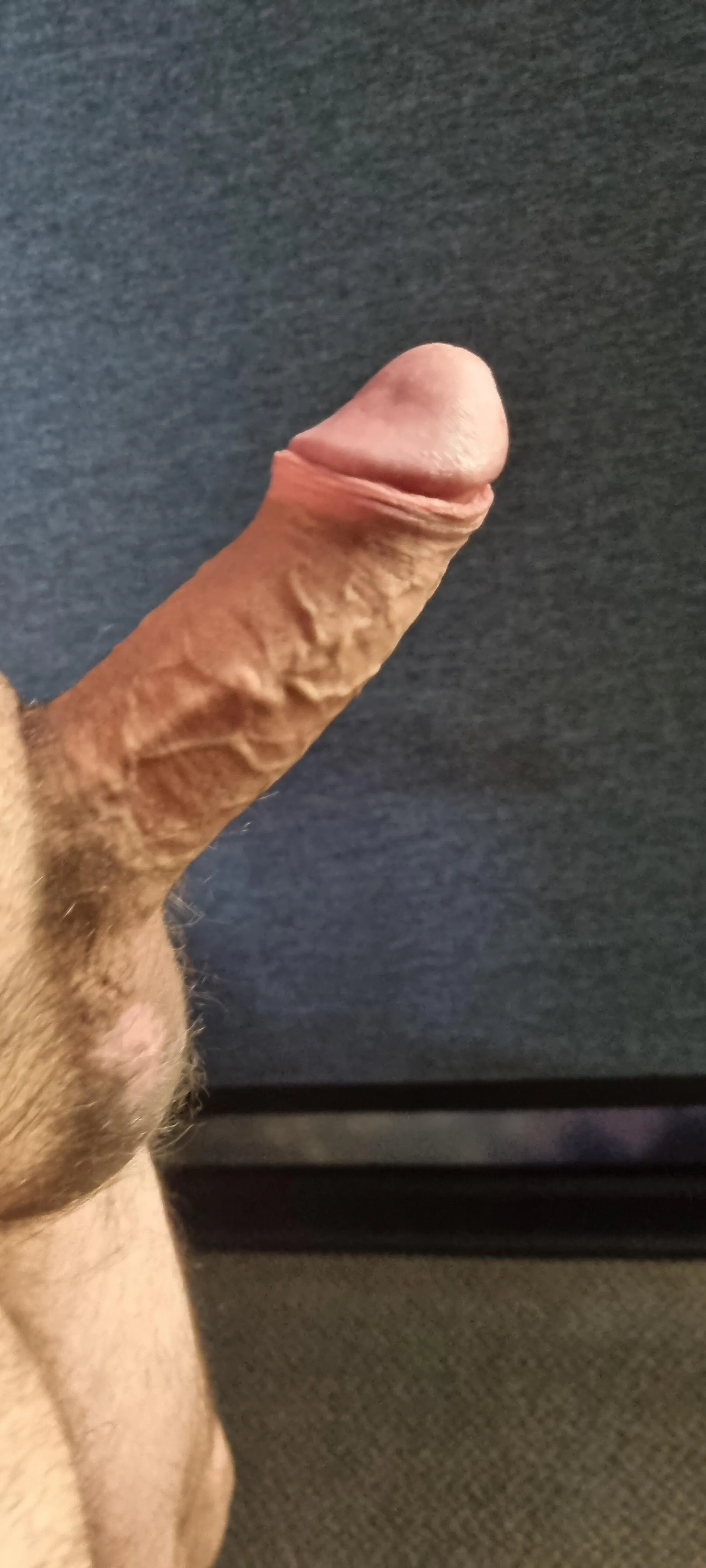 Need wank bud today Brunswick