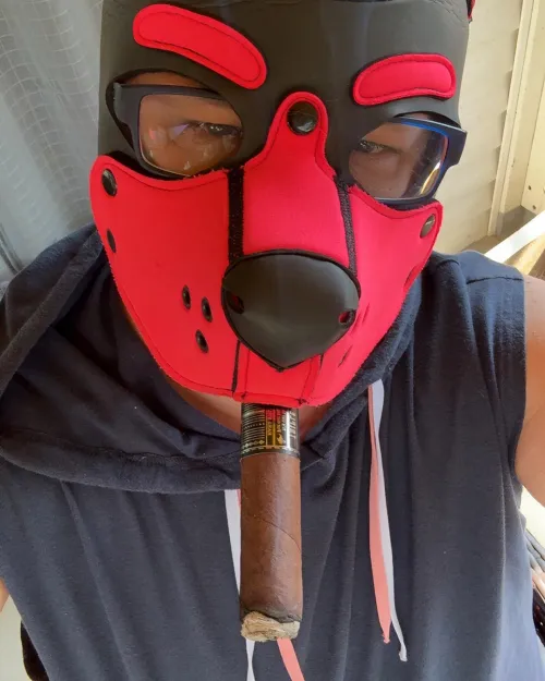 Ready to enjoy a few cigars this weekend and obey.
