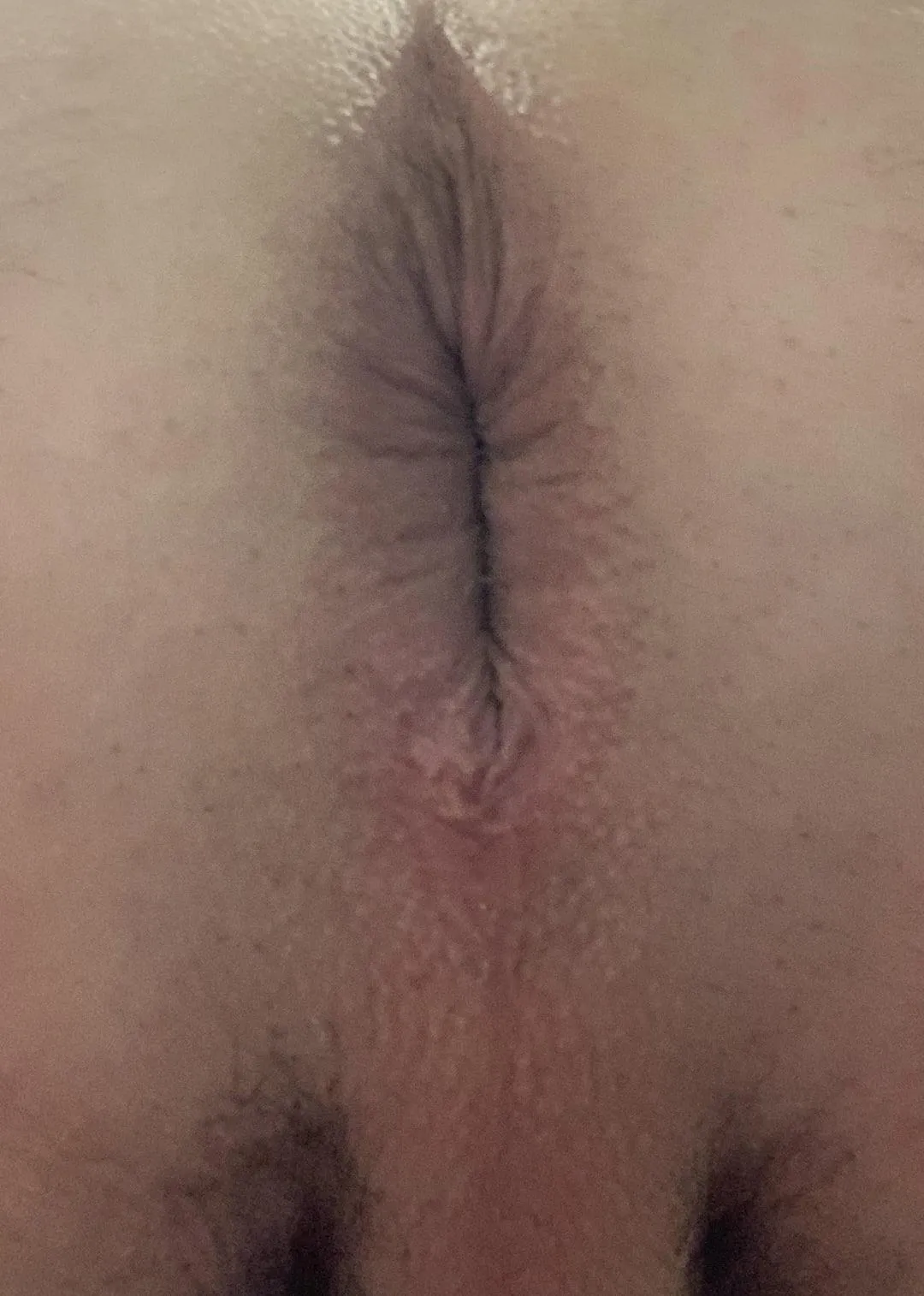 Some smooth fag pussy for an alpha to abuse whenever he wants