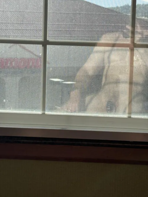 This store is getting a show tonight