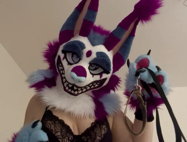 Will you let him put you in a collar?