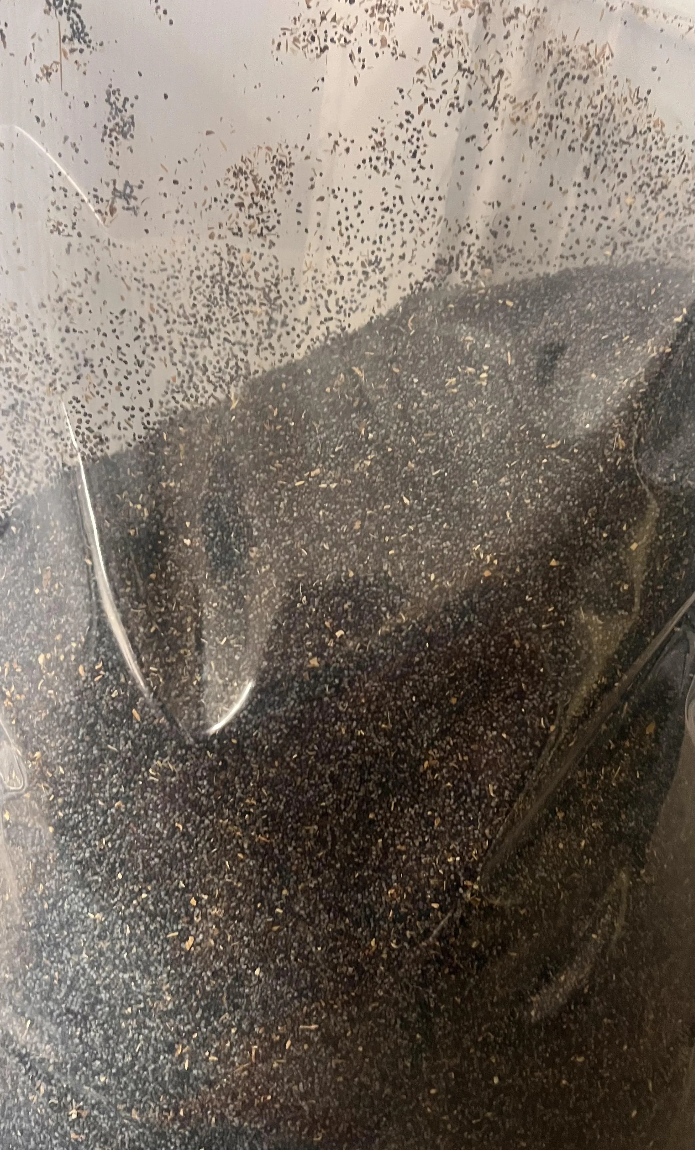 Not new quality, not old quality