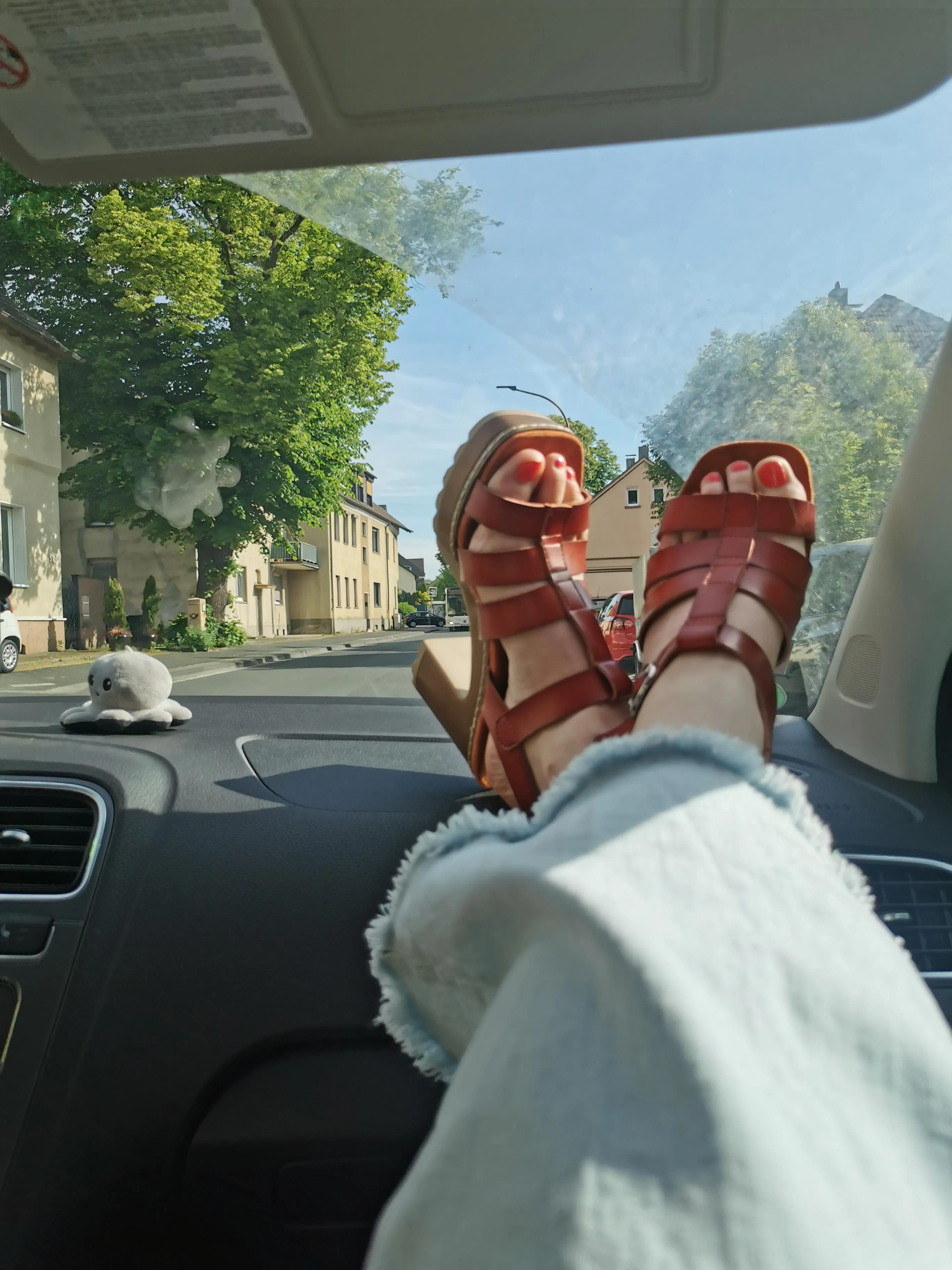 Passenger Princess 👑