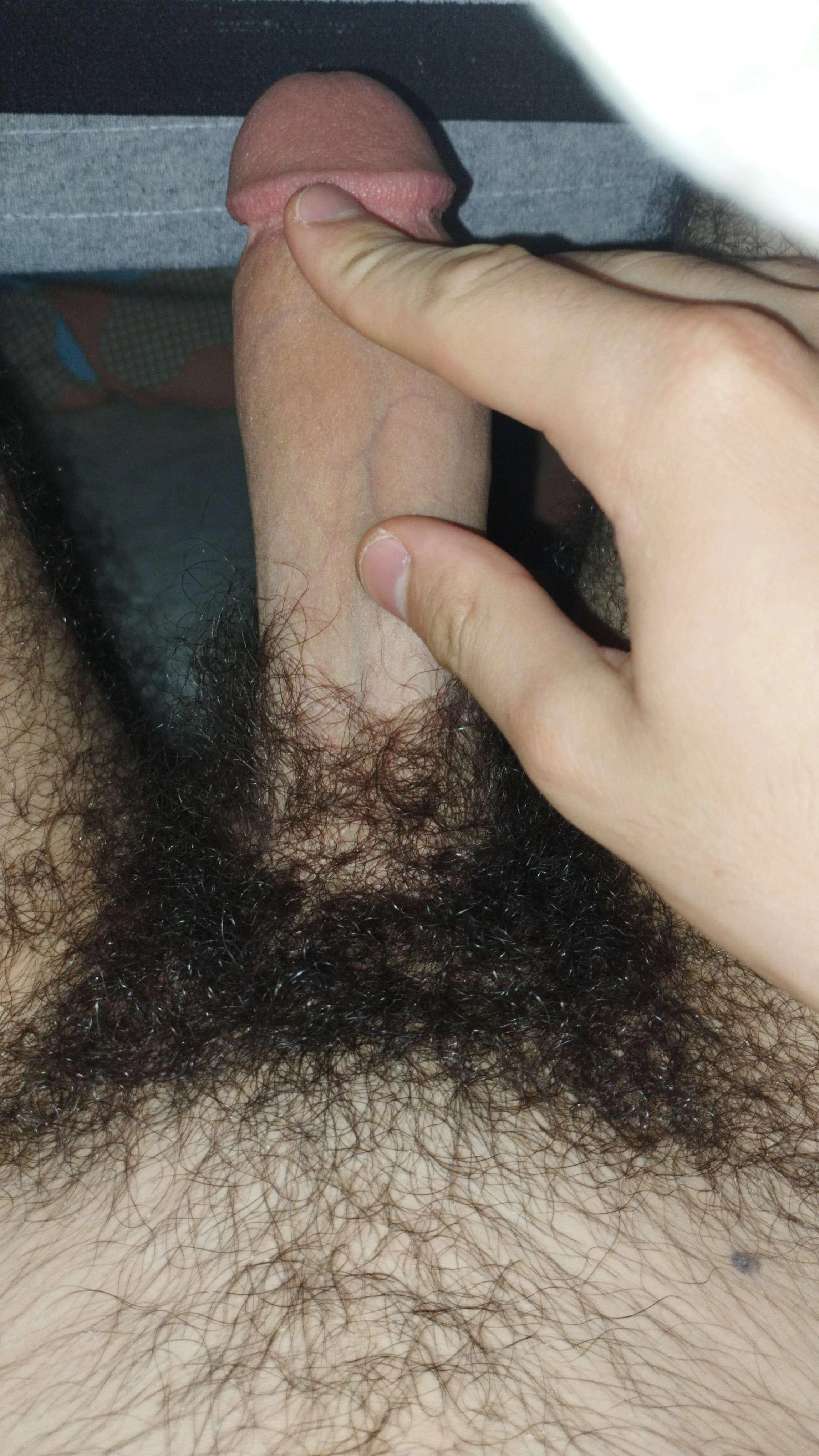 19ap arada 31 cekip arada sohbet edecek jerkbuddy bro. ne kadar kıllı o kadar iyi. hafif kaslı veya sporcu olursa iyi olur