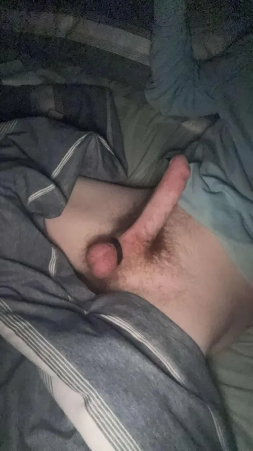 21 M hairy hung cut cock