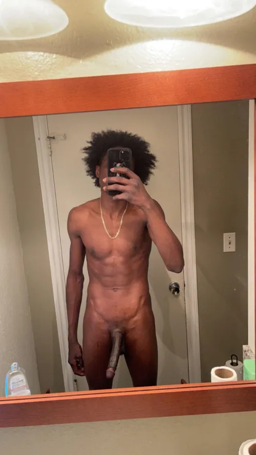 anyone out there need a BBC Bull or third ?