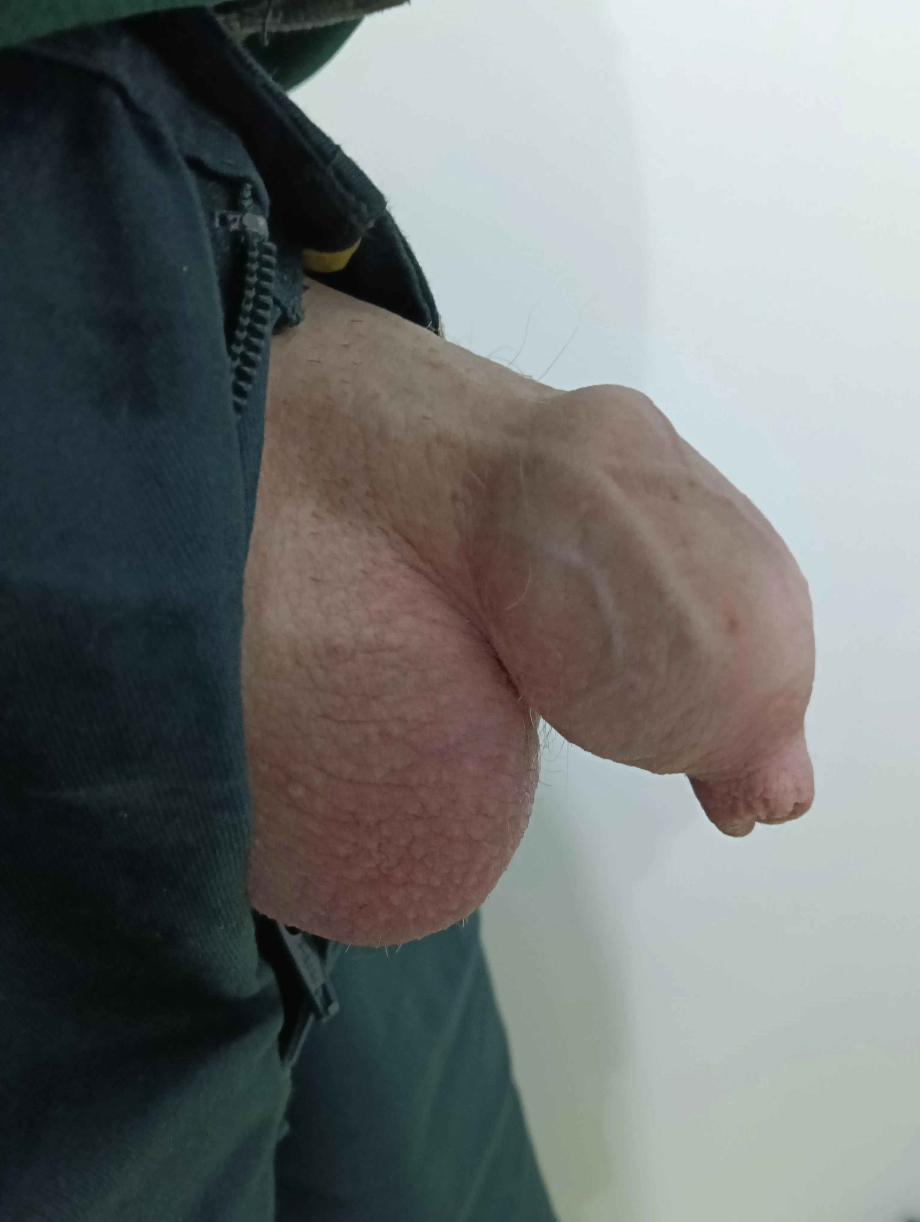 Just a dick and balls