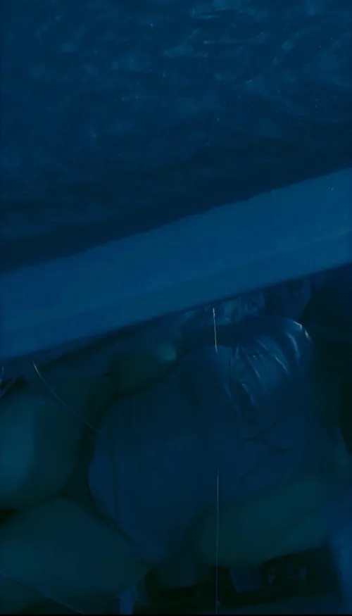 Si llegamos a 45 subo mejores fotos