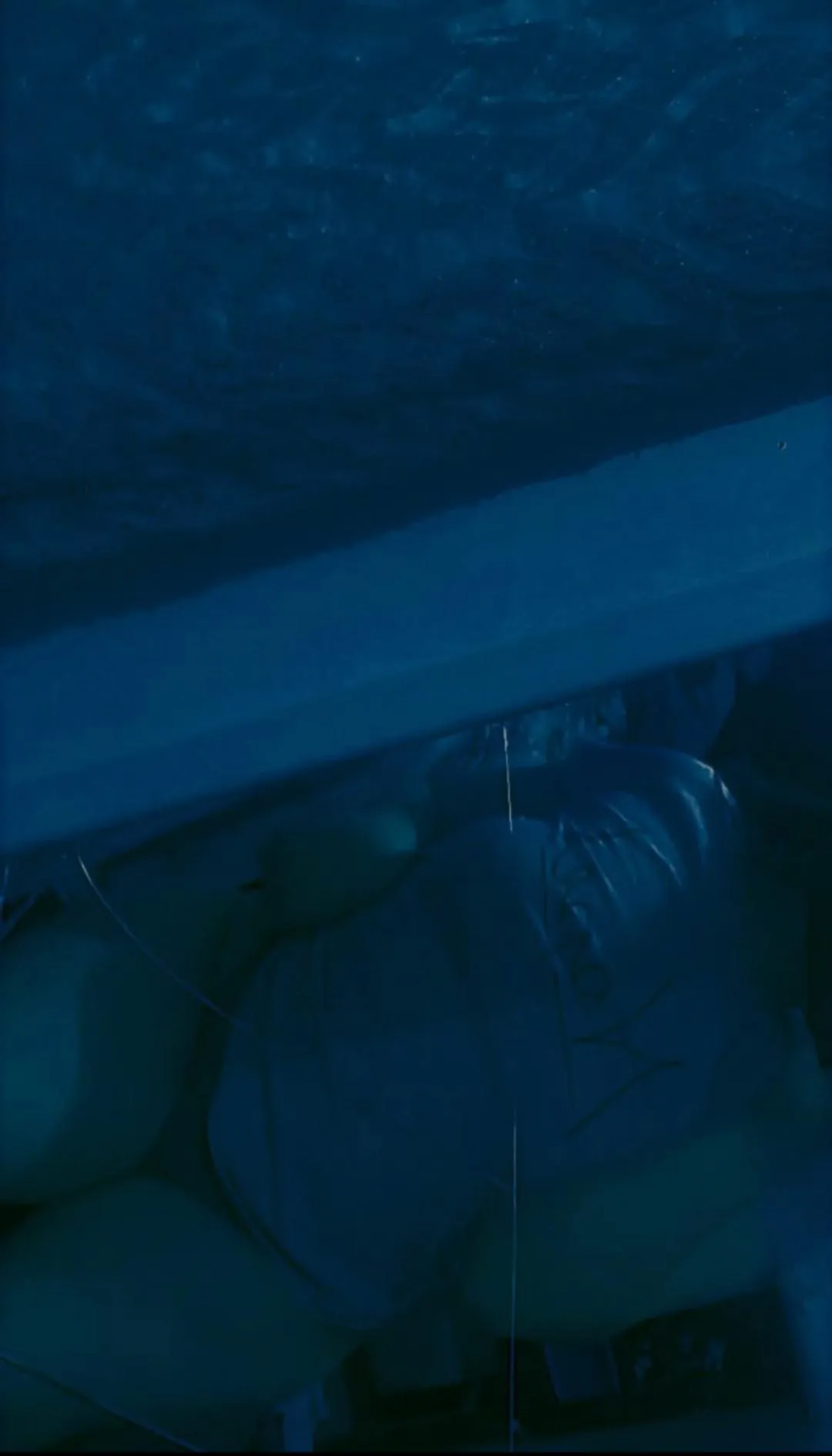 Si llegamos a 45 subo mejores fotos