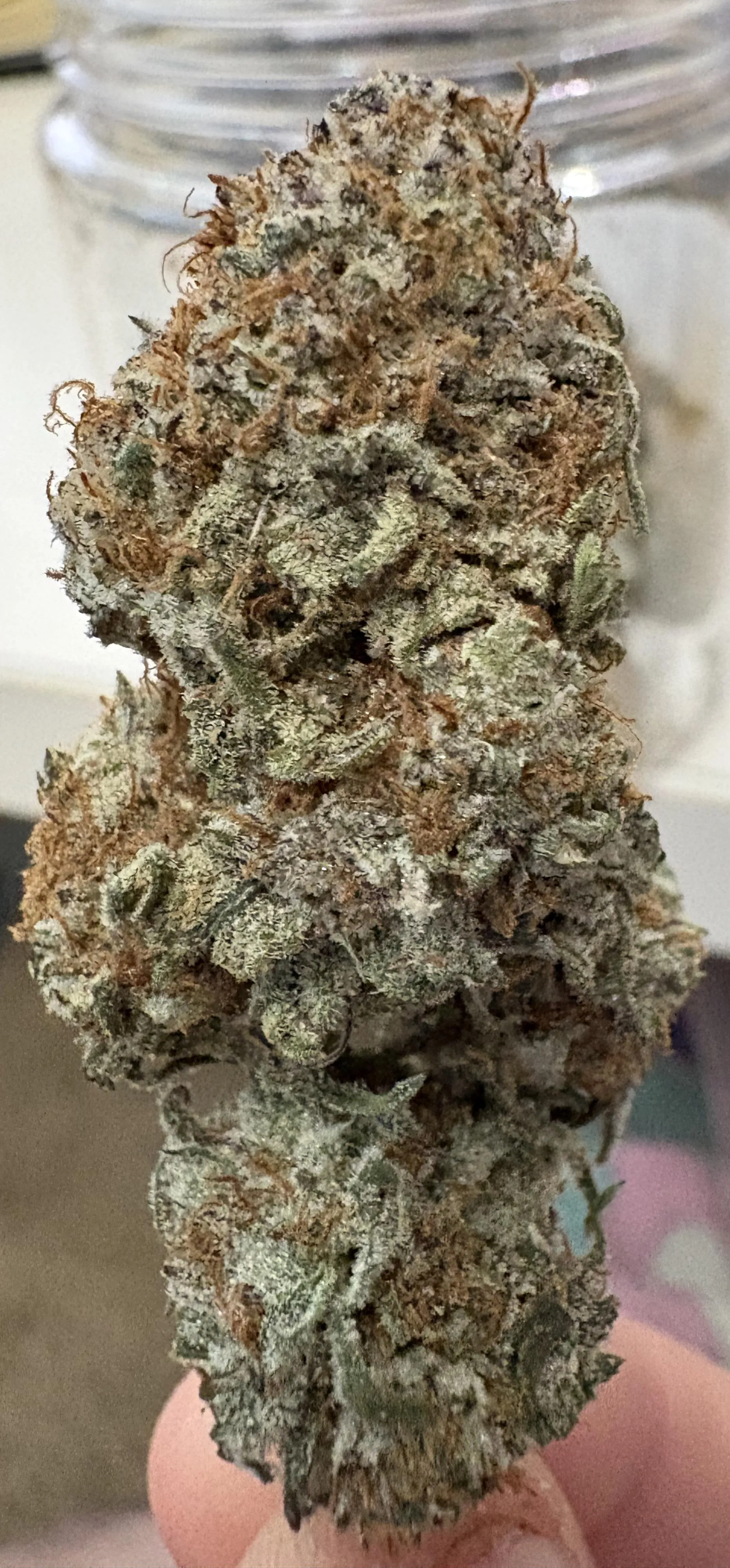 VG - Presidential Kush