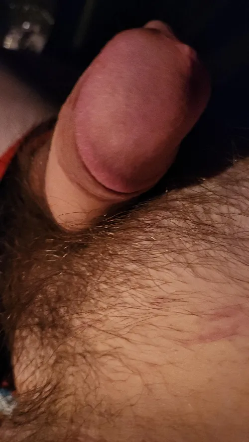 20m4f - anyone in town for boatnik?