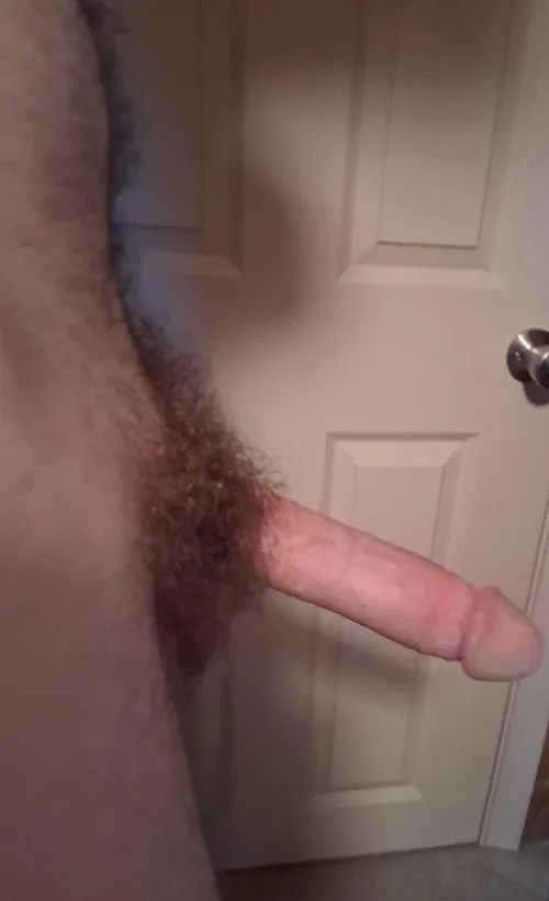 22 [m4f] Asheville any ladies free tonight?