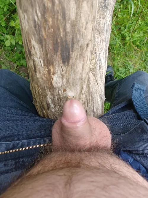 Any one want to shave my pubes for me, I hate shaving them