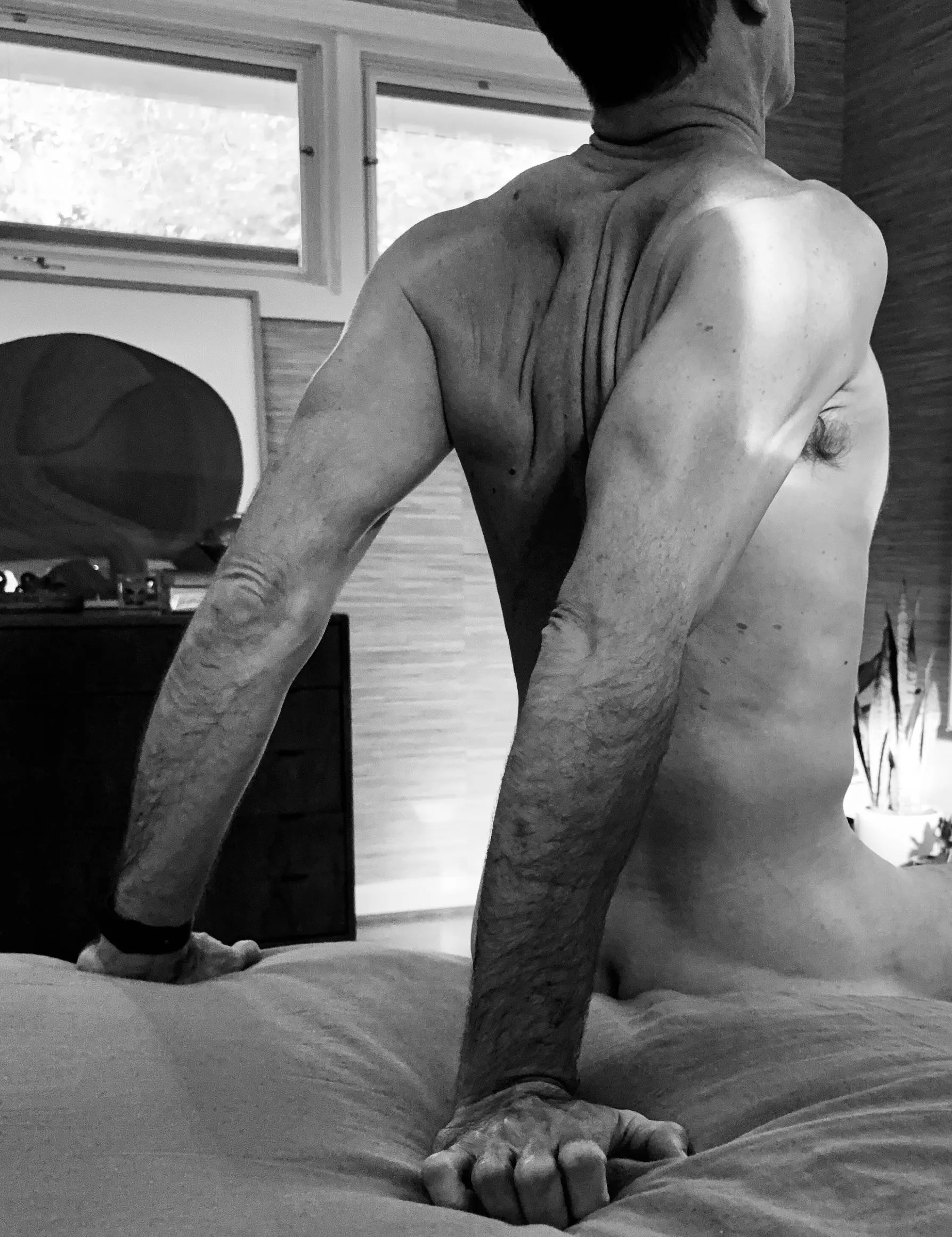 I lost (m)y wings #258