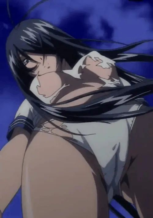 ikkitousen request