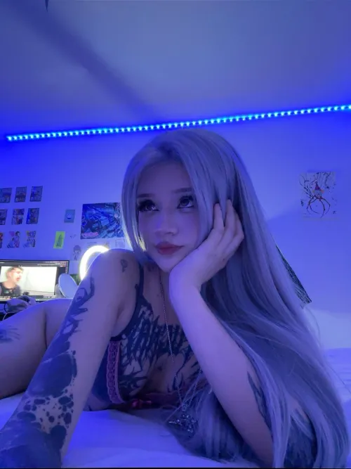 Male Alligators Have Permanent Erections