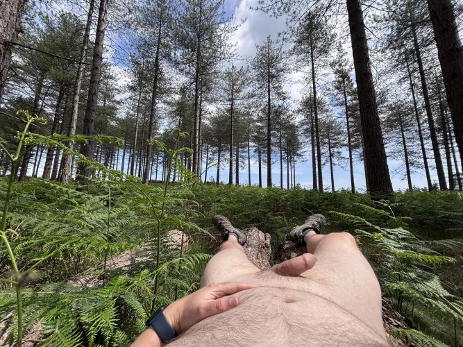 Naked hiking in the New Forest