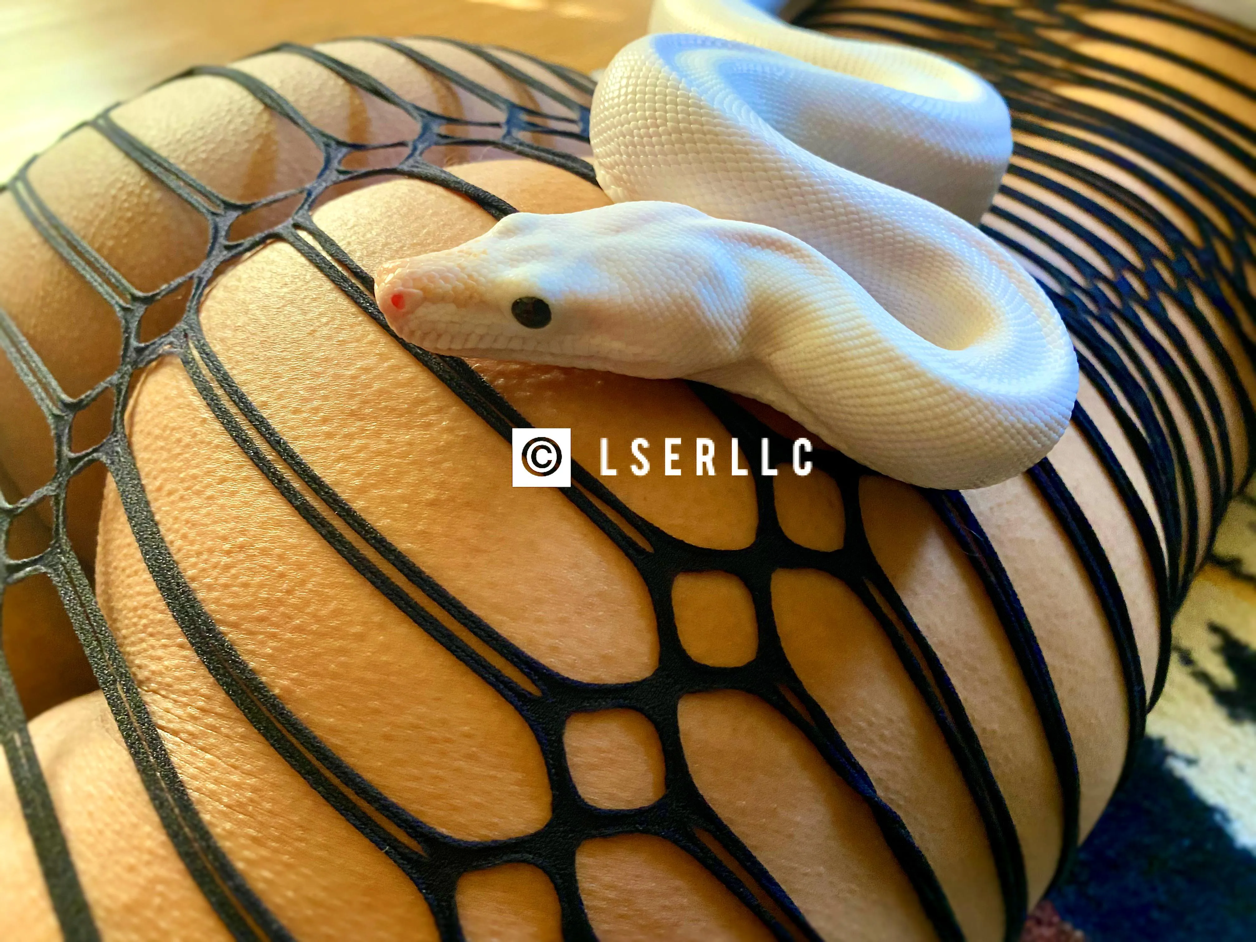 Same ass, different snake.. 😉