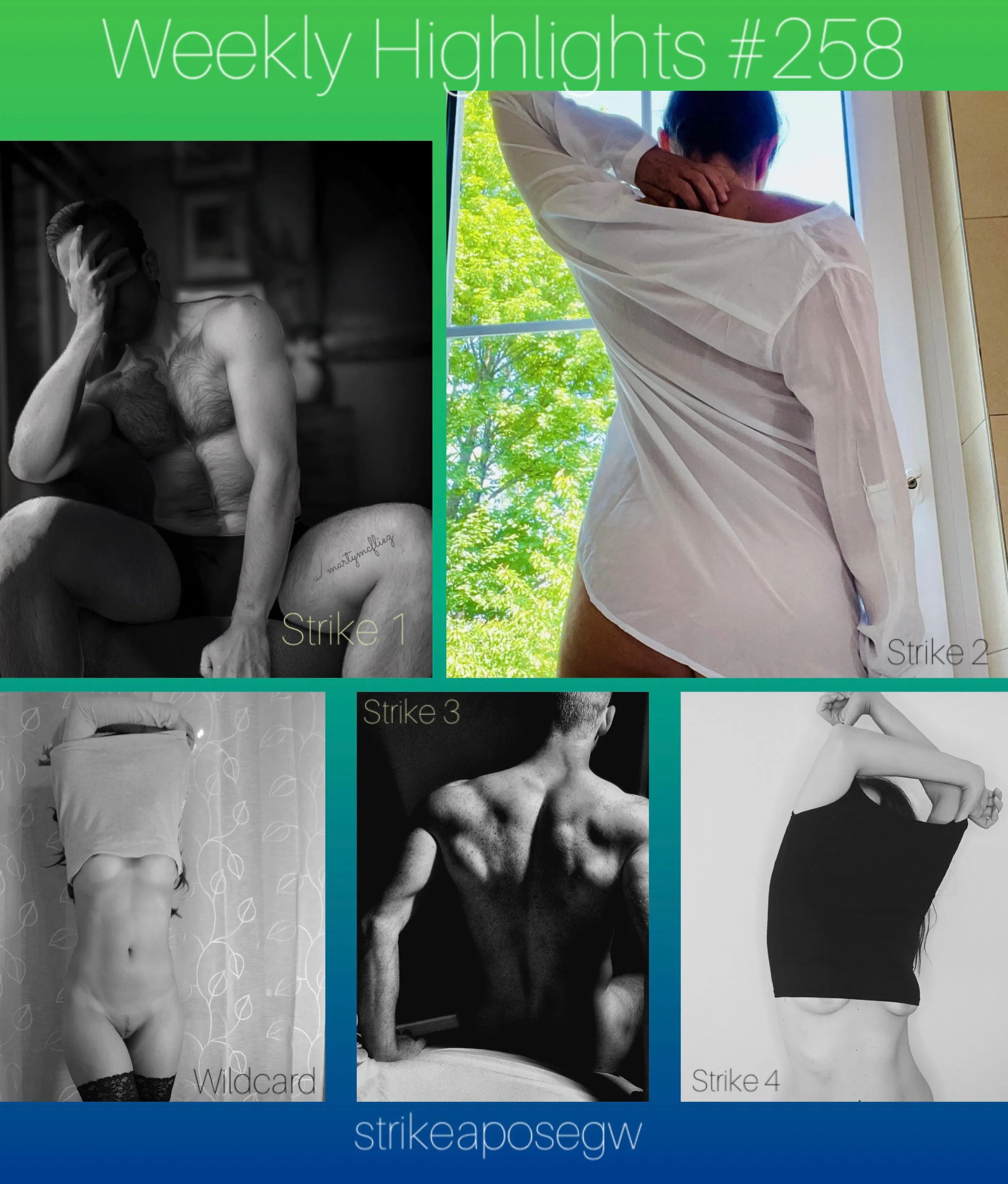 Weekly Highlights #258