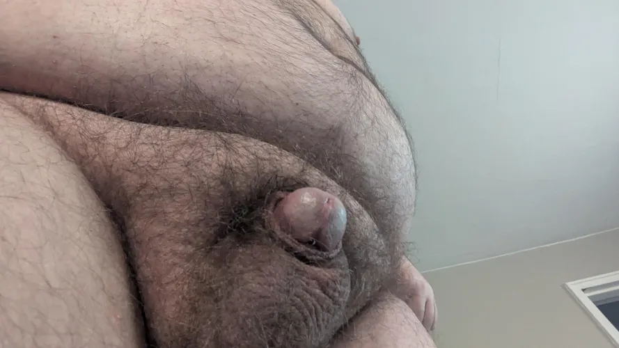 What do you guys think