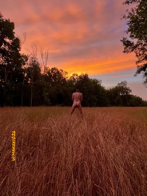 Sunrise in a field of grass!
