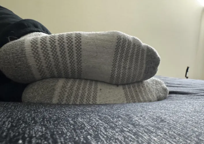 Who's my good little sock sniffer?