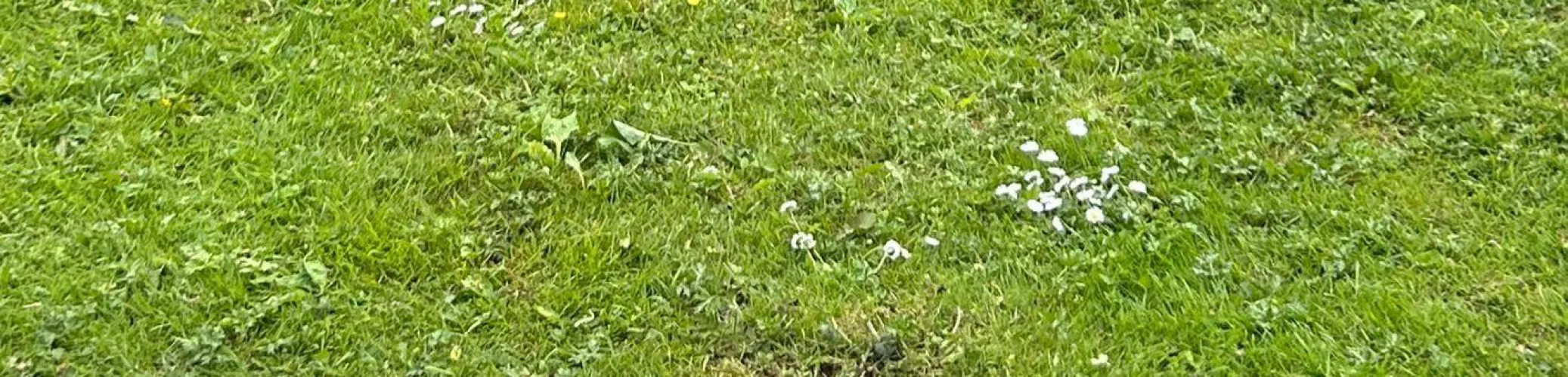 44 M4M looking for horny younger guys for cock-sucking sessions around the Teesside area. Can drive and accommodate, message me