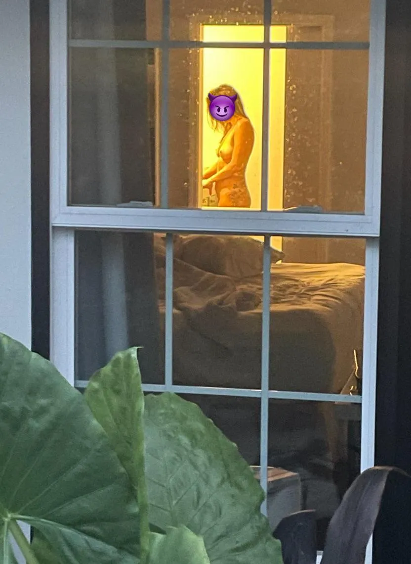 Blinds open with the lights on in the evening for the neighborly dog walkers