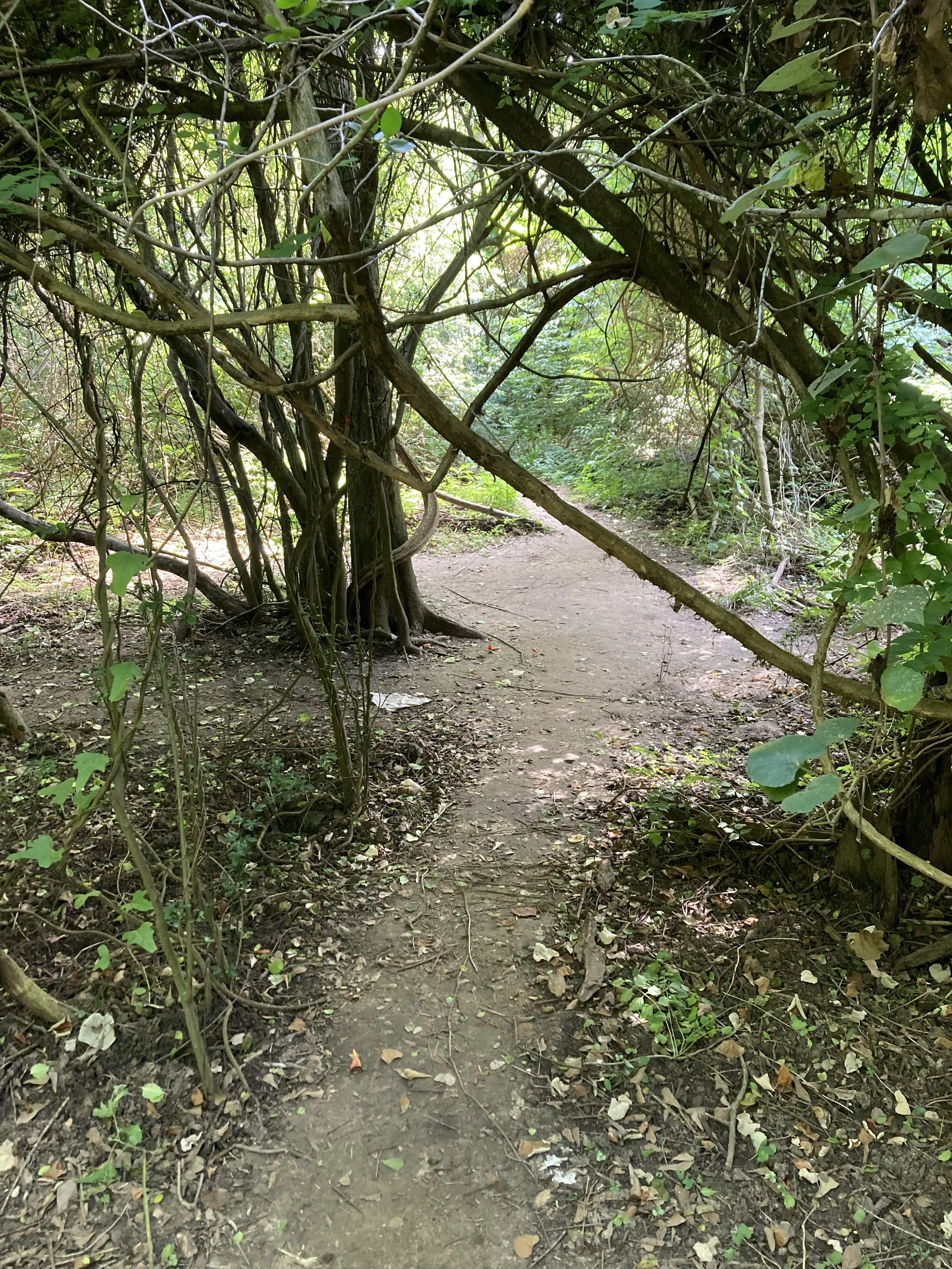 Here’s a shady little spot