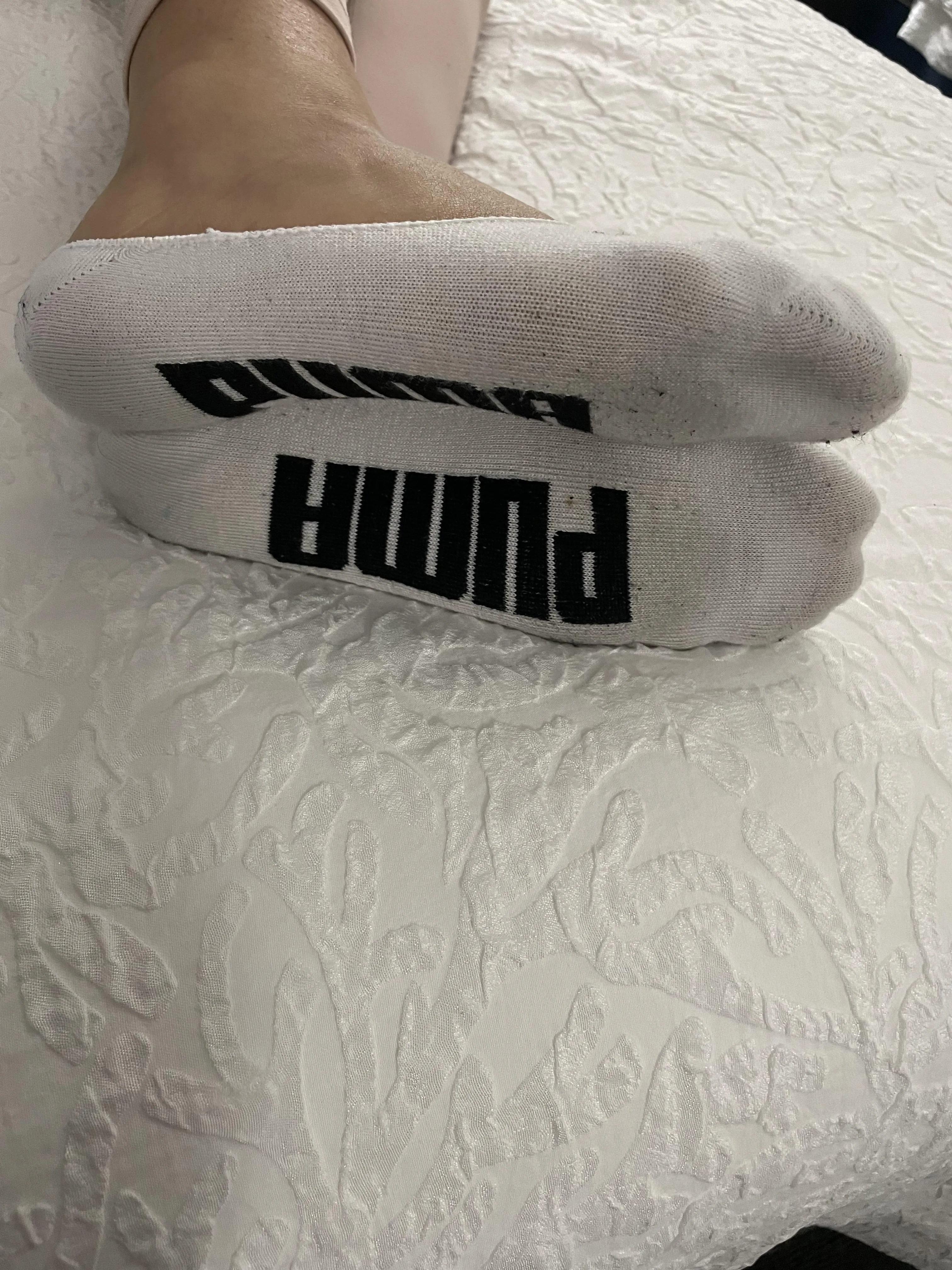 I want my socks sniffed