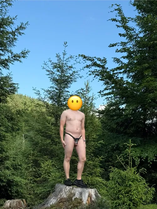 Mein kleiner Spaziergang im Wald