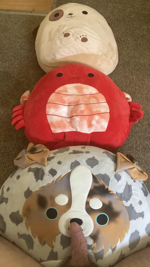 My new Squishmallows!!! I own 5 Squishmallows now.😏🤤