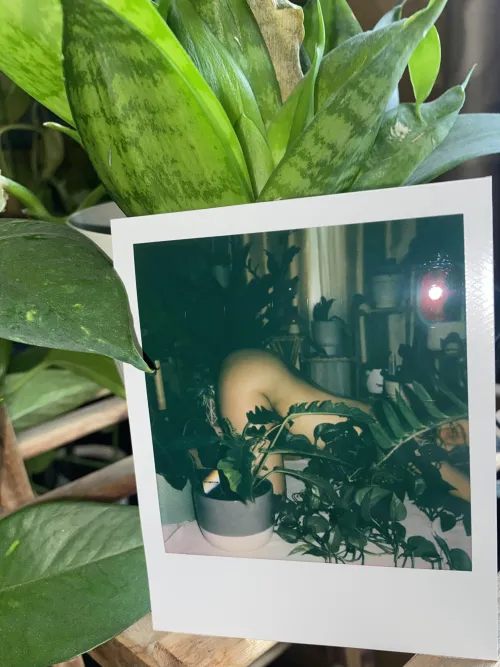 Photosexiness❤️‍🔥