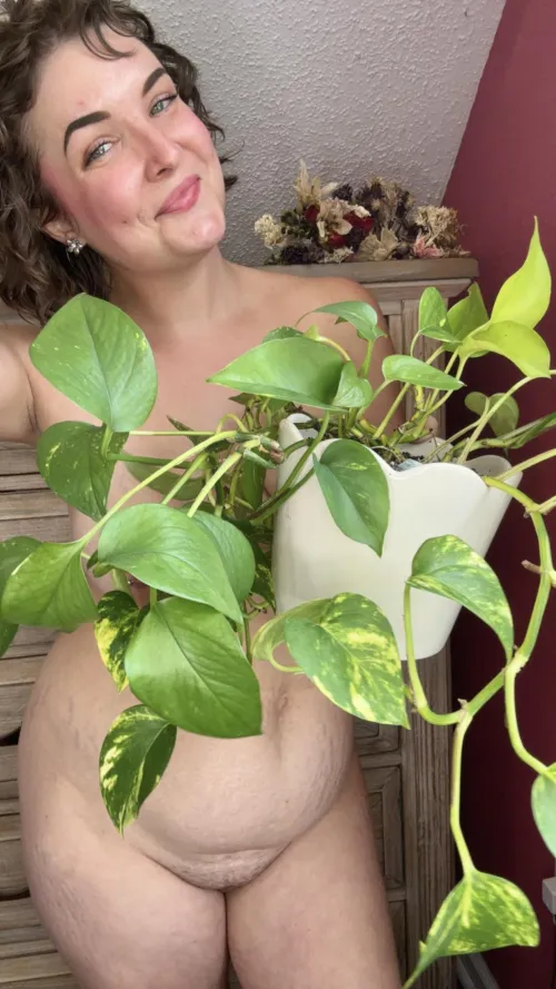 This jungle has *many* varieties!